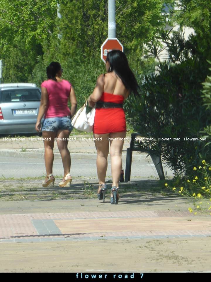 Brunette (ass)flowers of the road from Spain,Italy — 22