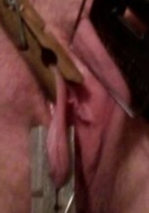 Piss Flaps mouse traped and pegged. — 9